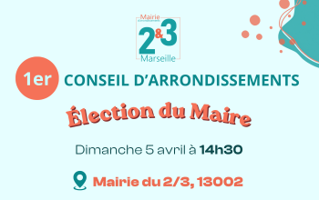 1er Conseil d'arrondissements